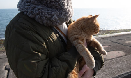 Person hugging a cute catの写真素材