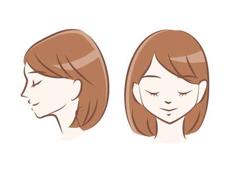 Front face and profile of a young woman.のイラスト素材