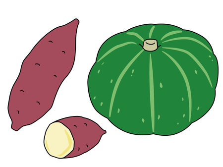 Illustration of sweet potato and pumpkin. With outline.のイラスト素材