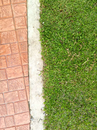 Green grass and concrete blocks.の写真素材
