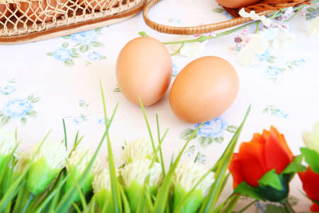 Eggs old vintage style on retro backgroundの写真素材
