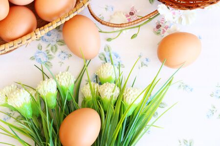 Eggs old vintage style on retro backgroundの写真素材