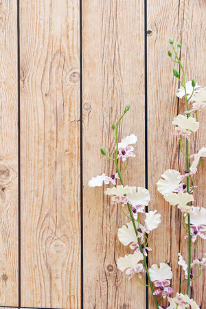flowers over grunge wooden backgroundの写真素材