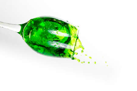 Fresh wine color green nature from white background.の写真素材