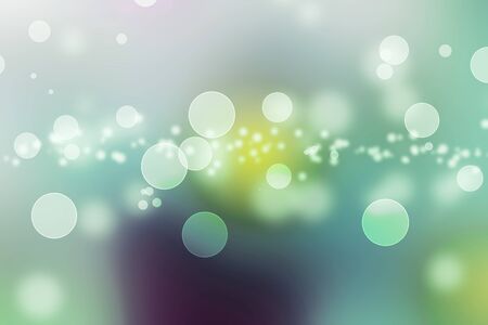 Natural spring forest bokeh.
