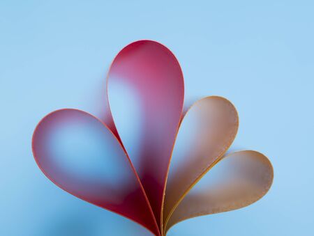 heart on gradient backgroundの写真素材