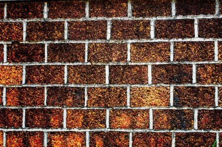 Brick The wall and the background textureの写真素材