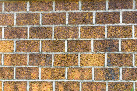 Brick The wall and the background textureの写真素材