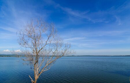 Reservoir in the bang phra, Chonburi Thailand の写真素材