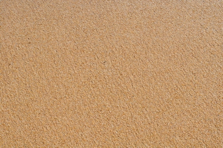 Coarse sand background texture of coarse sand grains.の写真素材