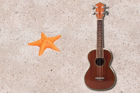 ukulele  and sea orange star on the beachの写真素材