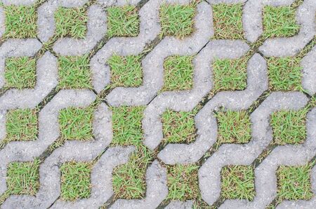 Cobble road with grass growing between cobblesの写真素材