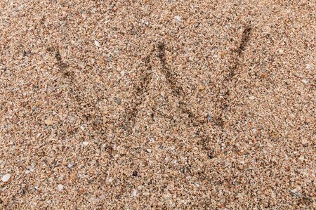 Character W of the alphabet writing on the sandの写真素材
