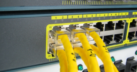 Ethernet RJ45 cables are connected to internet switch on business server networkの写真素材