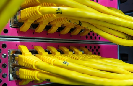 Ethernet RJ45 cables are connected to internet switch on business server network