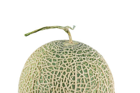cantaloupe melon isolate on a white background