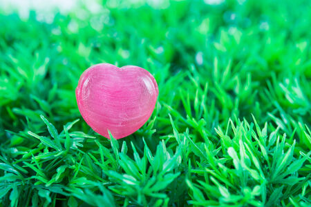 Love Red Heart on green grass for valentines dayの写真素材