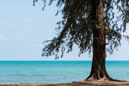sea beach and tree blue sky sand sun daylight relaxation landscape of Thailandの写真素材