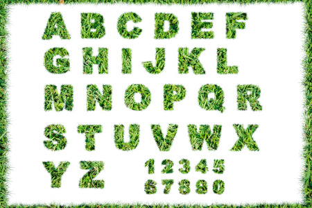 letter resolution conceptual set or collection green grass isolated on over white backgroundの写真素材
