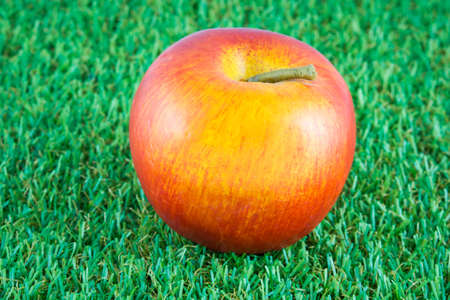 red raw apple on green grass backgroundの写真素材