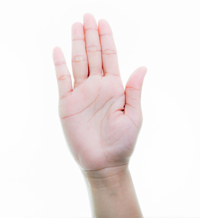 Woman hands holding isolate on over white backgroundsの写真素材