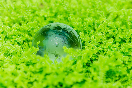 Environment concept glass globe in green grass