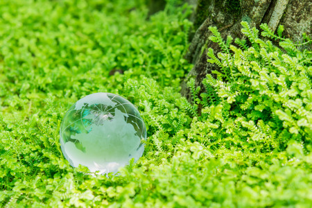 Environment concept glass globe in green grassの写真素材