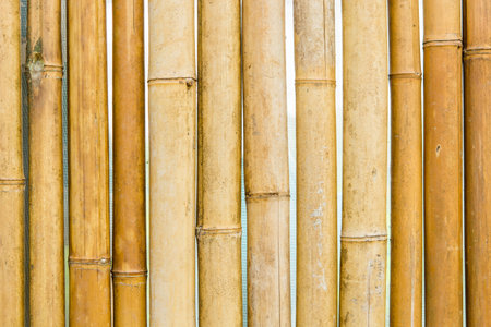 brown bamboo fence texture on a backgroundの写真素材