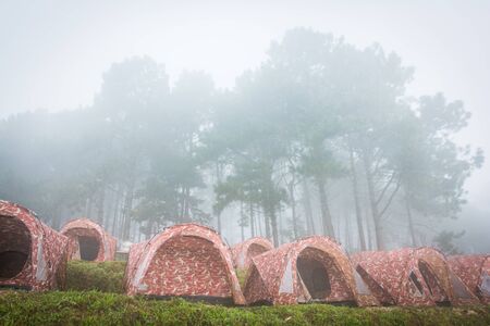 The winter fog and the tent Doi Ang Khang of Thailandの写真素材