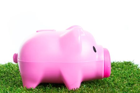 Piggy bank on green grass and over white backgroundの写真素材