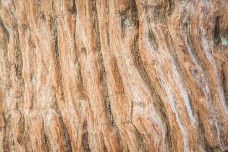 Old vintage brown natural wood texture backgroundの写真素材