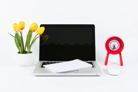 Laptop and flower pot isolate on white backgroundの写真素材