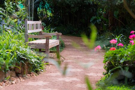 Beautiful wooden garden chair in the gardenの写真素材