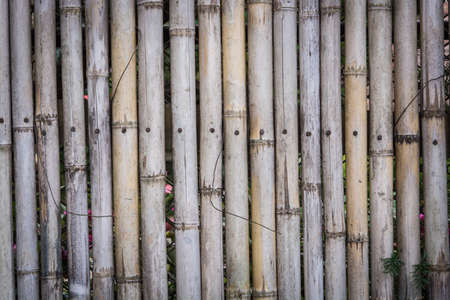 brown bamboo fence texture on a backgroundの写真素材