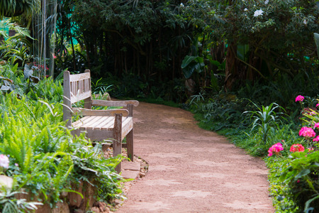 Beautiful wooden garden chair in the gardenの写真素材