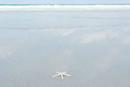 Beautiful starfish with sea beach of Thailandの写真素材