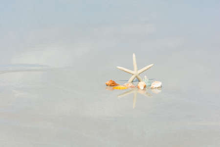 Beautiful starfish with sea beach of Thailandの写真素材
