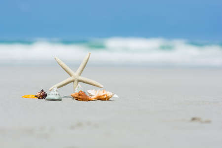 Beautiful starfish with sea beach of Thailandの写真素材
