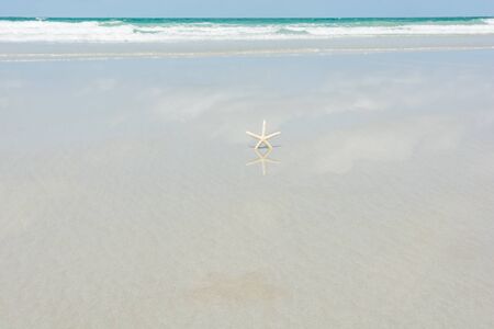 Beautiful starfish with sea beach of Thailandの写真素材