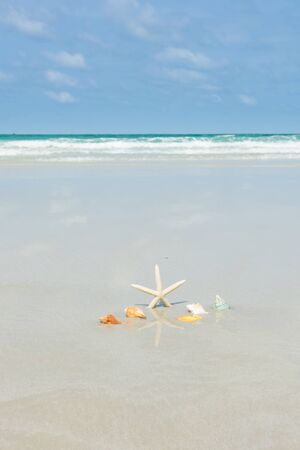 Beautiful starfish with sea beach of Thailandの写真素材