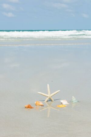 Beautiful starfish with sea beach of Thailandの写真素材
