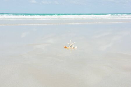 Beautiful starfish with sea beach of Thailandの写真素材