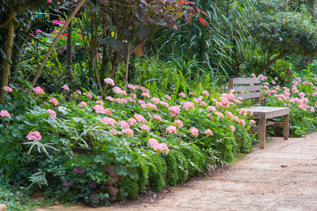 Beautiful wooden garden chair in the gardenの写真素材