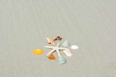 Beautiful starfish with sea beach of Thailandの写真素材