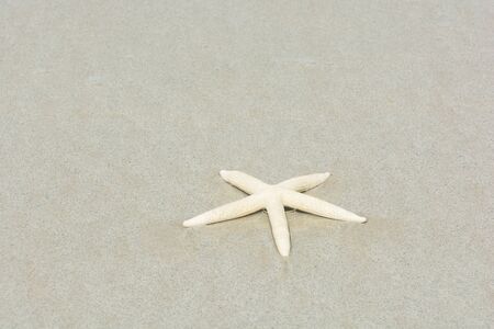 Beautiful starfish with sea beach of Thailandの写真素材