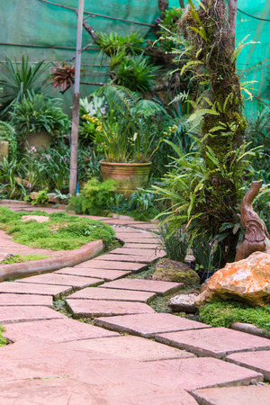 Beautiful Walkway in Garden design for backyardの写真素材