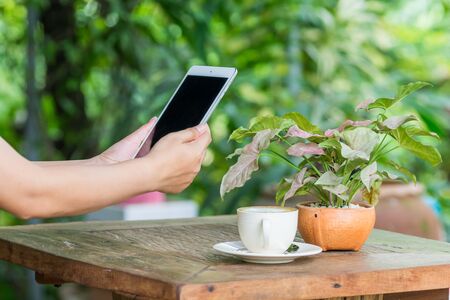 Close up of hands woman using tablet in cafeの写真素材