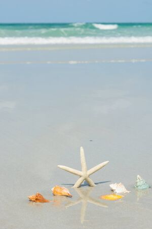 Beautiful starfish with sea beach of Thailandの写真素材