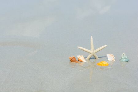 Beautiful starfish with sea beach of Thailandの写真素材