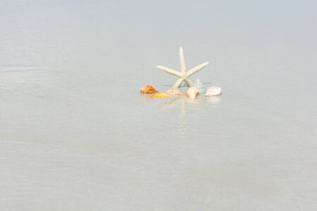 Beautiful starfish with sea beach of Thailandの写真素材